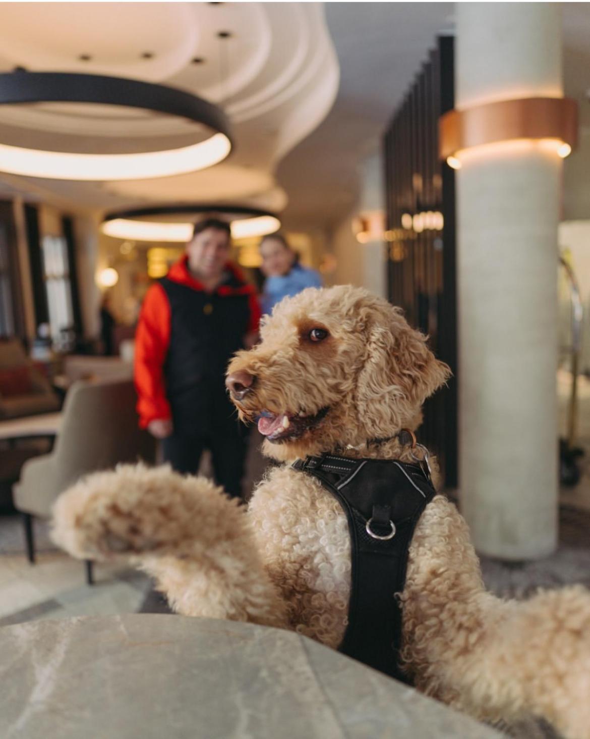 Le Westin Tremblant Ξενοδοχείο Μοντ Τρεμπλάν Εξωτερικό φωτογραφία